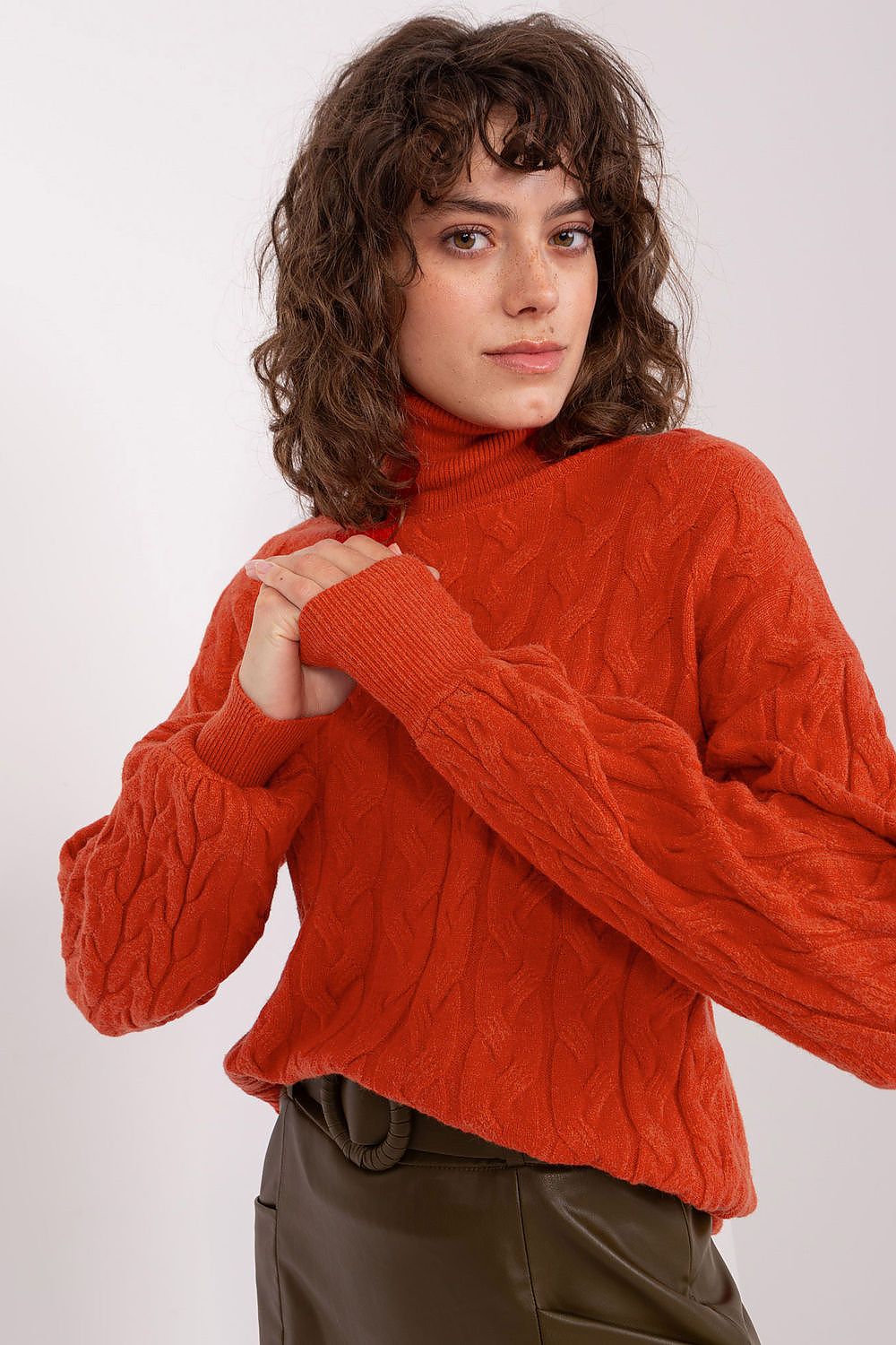  Rollkragenpullover model 188309 AT 