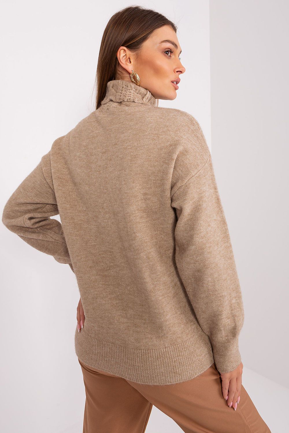  Rollkragenpullover model 189888 AT 