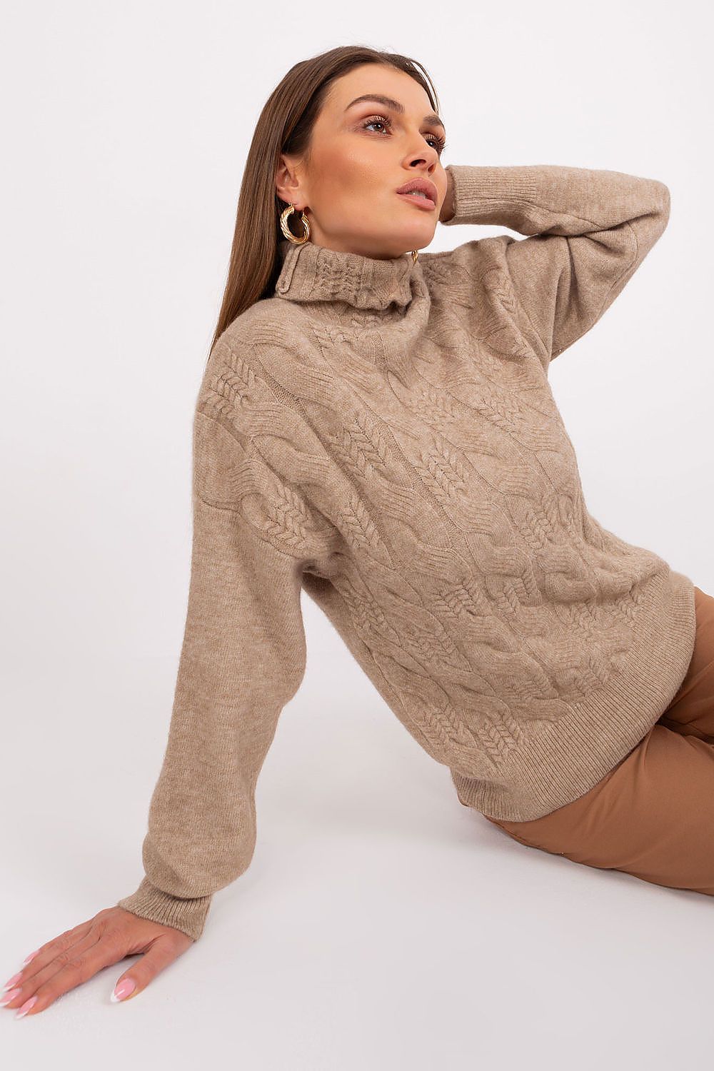  Rollkragenpullover model 189888 AT 