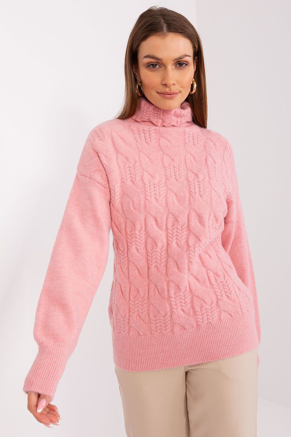  Rollkragenpullover model 189889 AT 