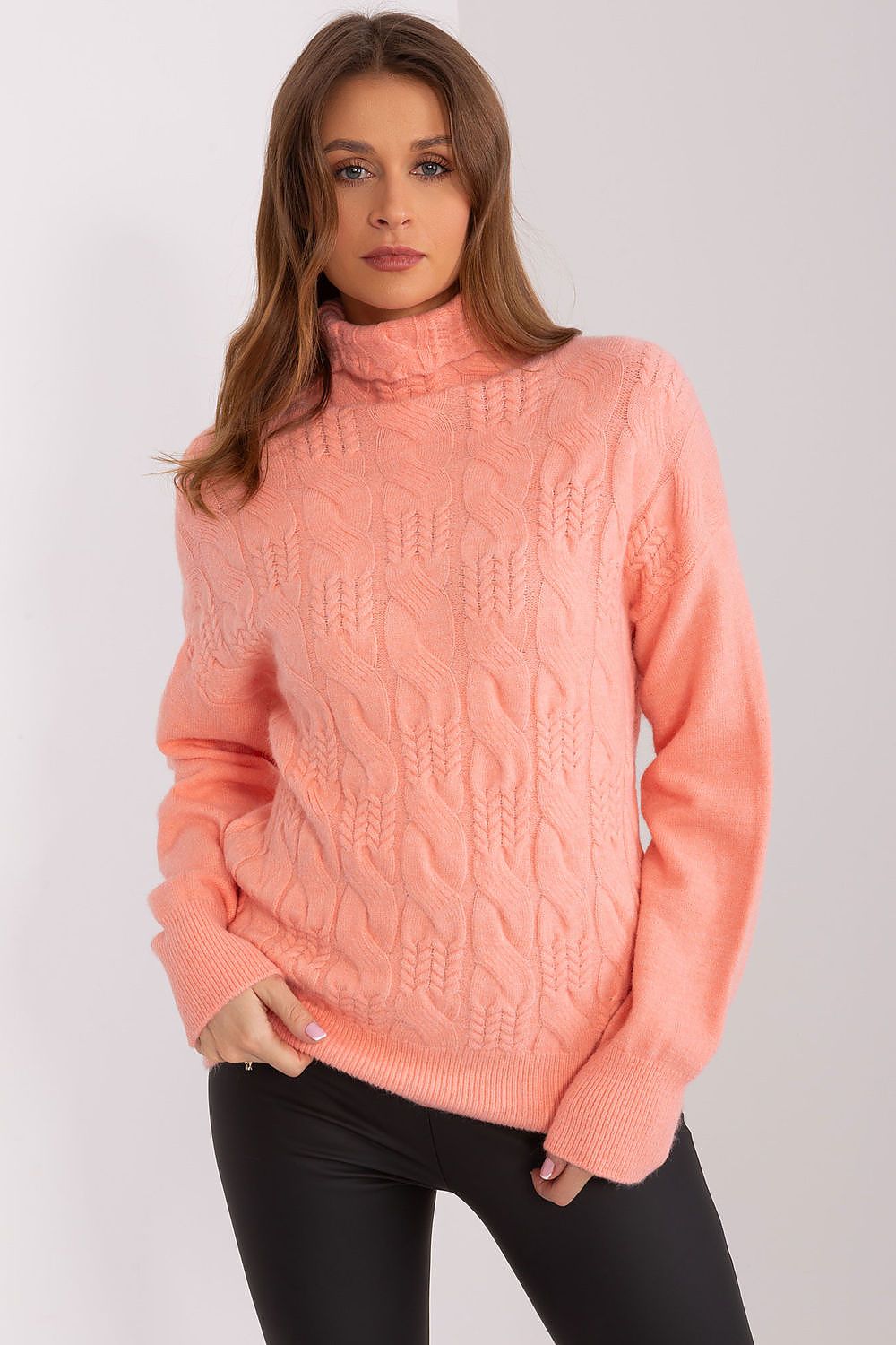  Rollkragenpullover model 189890 AT 