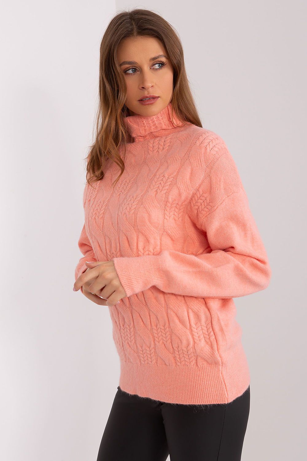  Rollkragenpullover model 189890 AT 