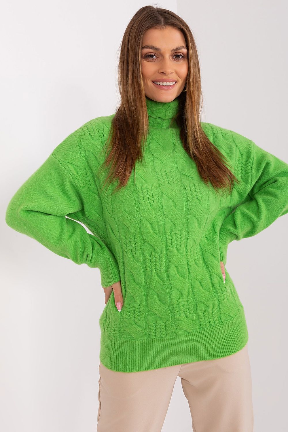  Rollkragenpullover model 189893 AT 