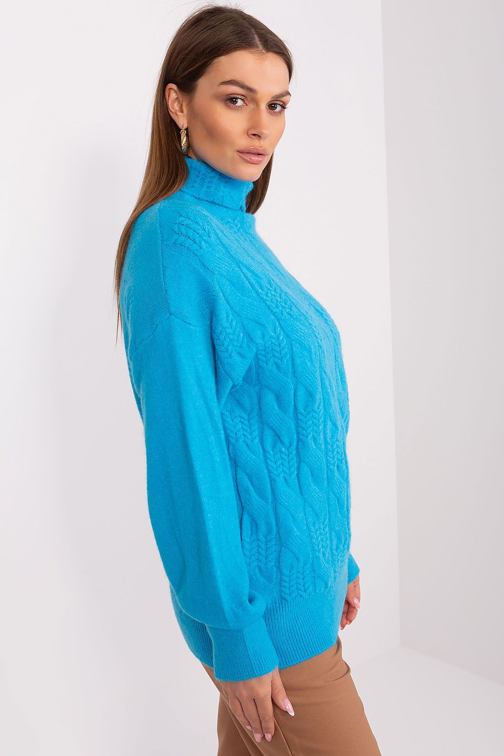  Rollkragenpullover model 189894 AT 