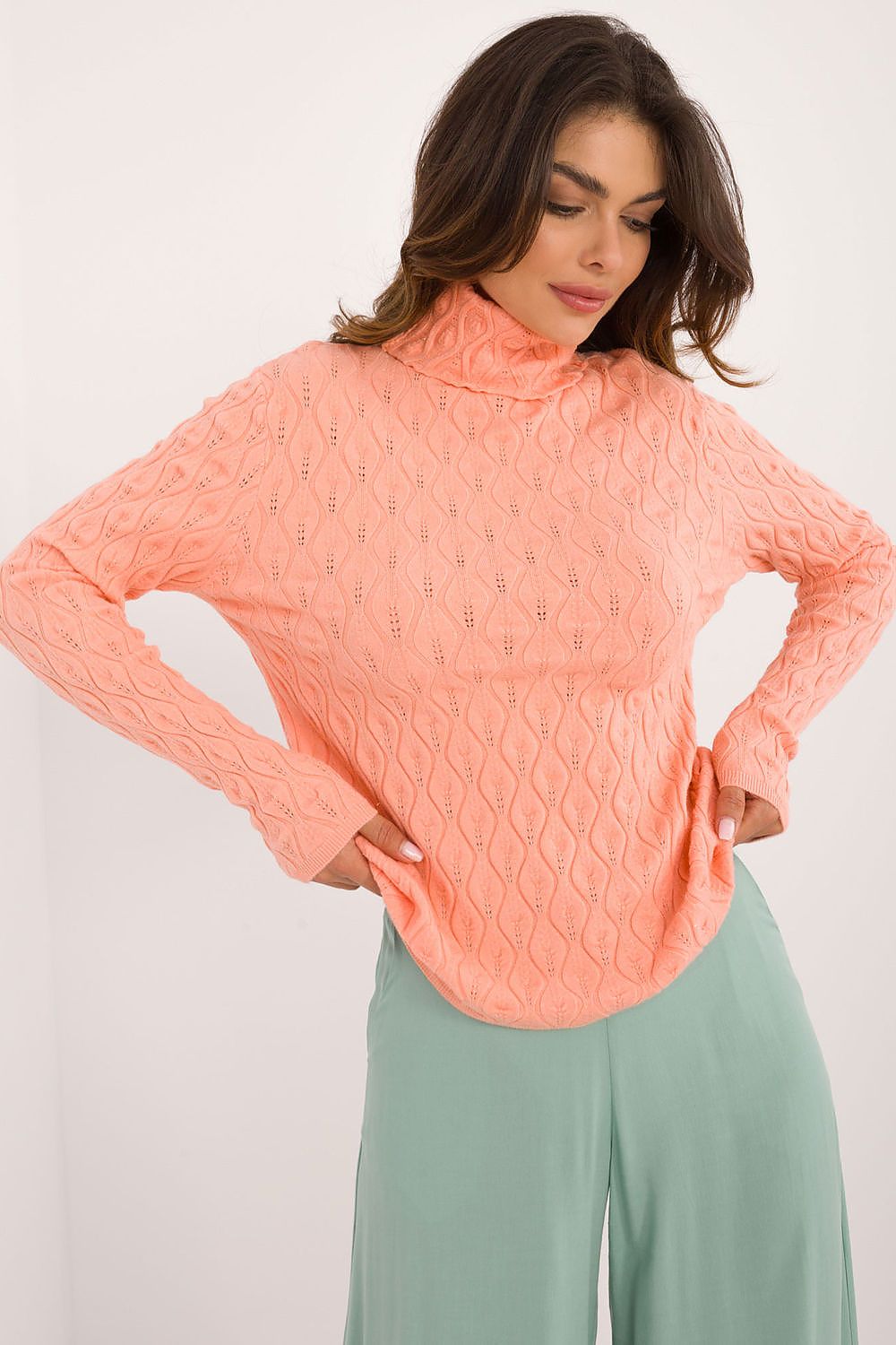  Rollkragenpullover model 203189 AT 